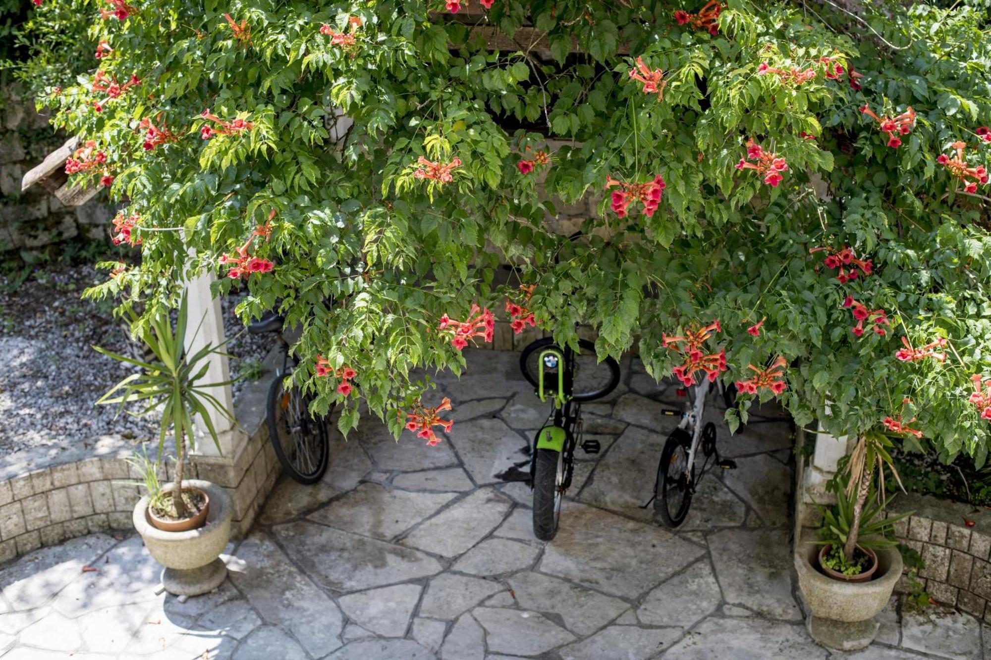 Villa D'Amore Montenegro Morinj Bagian luar foto
